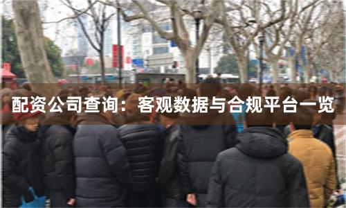 配资公司查询：客观数据与合规平台一览